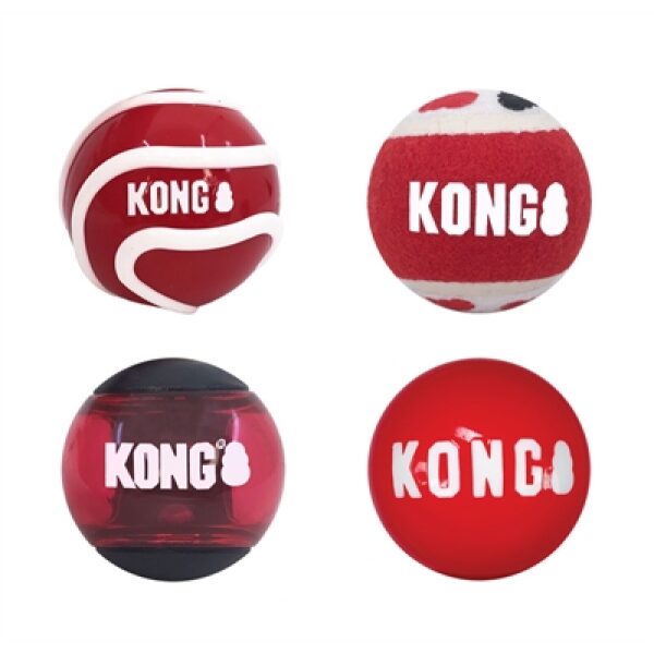 Kong signature ballen assorti | tuckercare